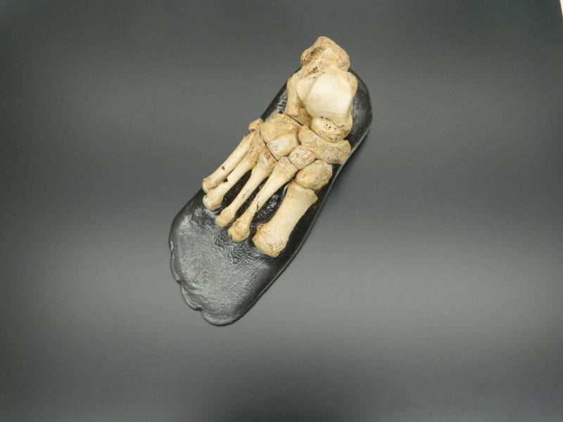 Se estima que el pie podría tener una antigüedad de medio millón de años. / MEH