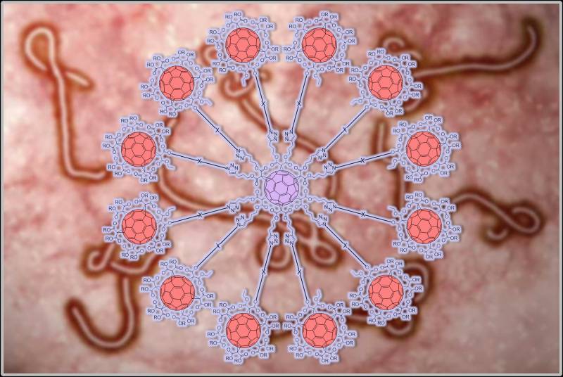 El equipo ha conseguido algo sin precedentes: ensamblar doce fullerenos, cada uno con diez azúcares, sobre otro fullereno central, imitando la presentación de los carbohidratos que envuelven al virus del ébola / N. Martín y B. Illescas.