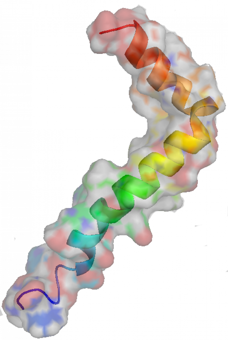 En la imagen, la estructura tridimensional de la proteína beta-amiloide.