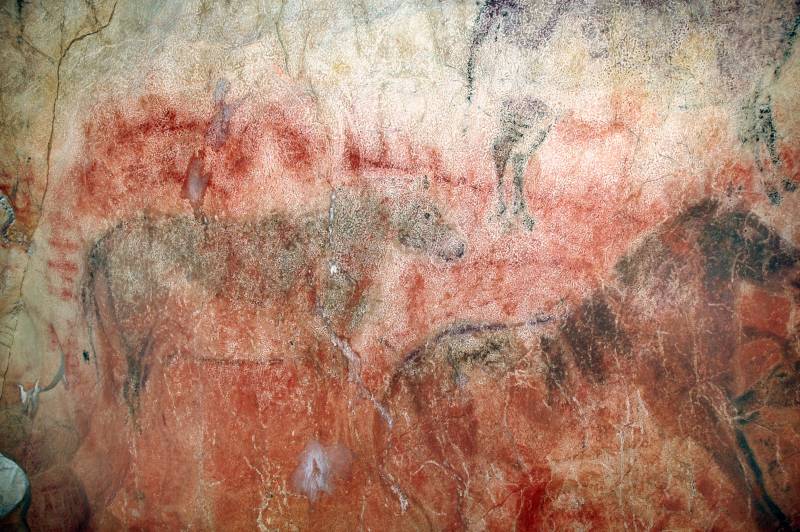 Pinturas de caballos en la caverna de Tito Bustillo. Imagen: Rodrigo De Balbín Behrmann