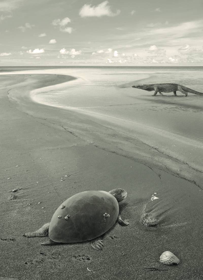 Reconstrucción de ‘Plesiochelyidae indeterminado’ en un paisaje costero del Jurásico superior ibérico. / Iván Gromicho
