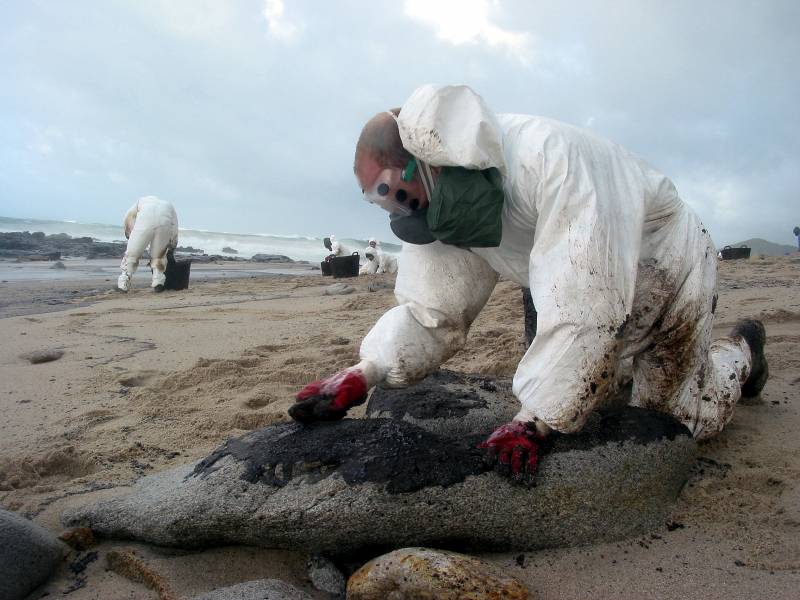 Trabajos de limpieza de la marea negra provocada por el Prestige. Imagen: StephaneMGrueso.