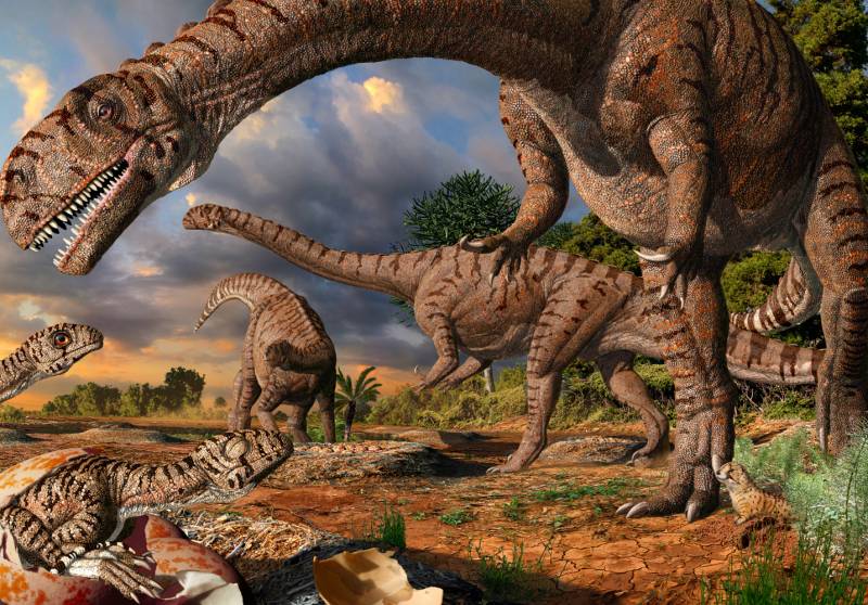 Igual que en los herbívoros modernos, los estómagos de estos dinosaurios debían contener microbios que fermentaban las plantas ingeridas y permitían su digestión.Imagen: Julius Csotonyi 