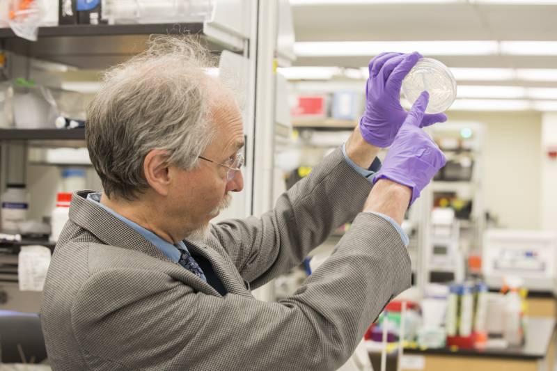 El investigador Jef Boeke en el laboratorio. 