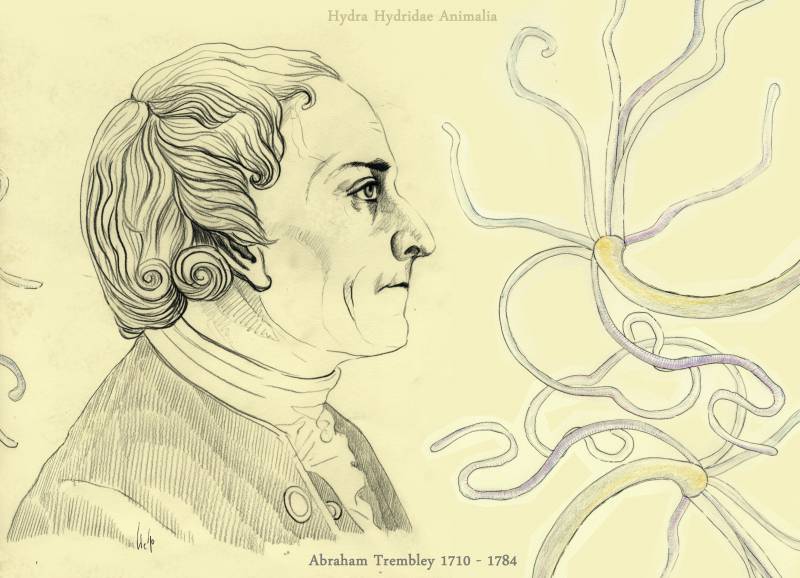 El 3 de setiembre de 1710 nace Abraham Trembley, naturalista suizo 
