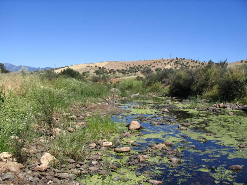 Los biólogos reclaman una red de ríos protegidos