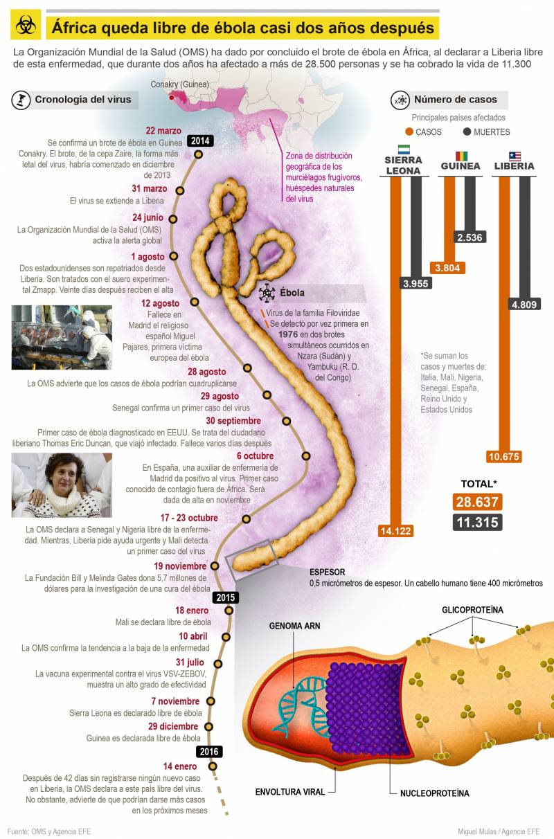 Infografía del último brote de ébola. / Efe