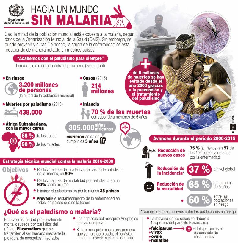 Infografía sobre la evolución de la malaria en el mundo. / Efe