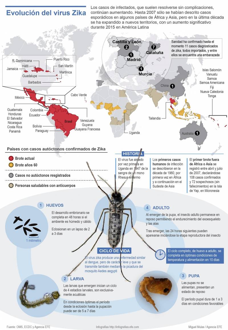 Infografía que muestra la expansión del virus zika. / Efe