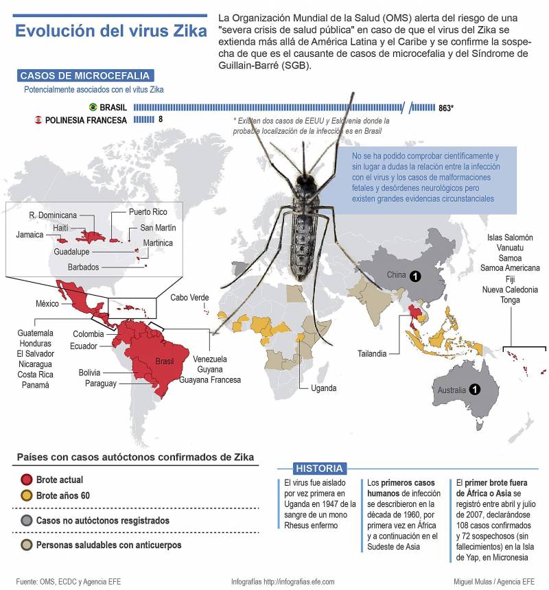 Infografía explicativa de la evolución del zika. / Efe