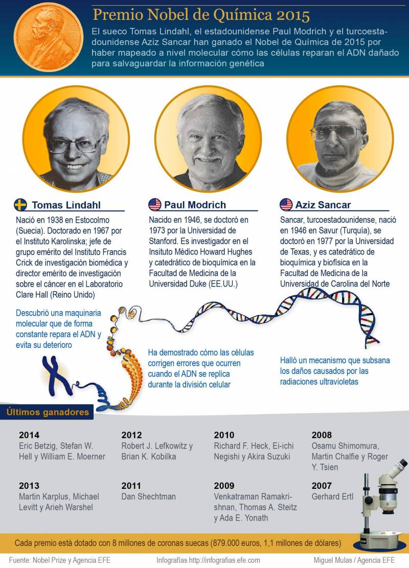 Infografía del trabajo de los ganadores del Premio Nobel de Química 2015. / Efe