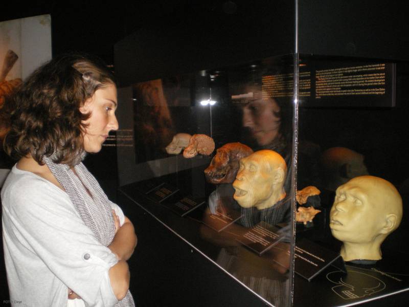 La muestra dará a conocer internacionalmente el proyecto del Museo de la Evolución Humana de Burgos.