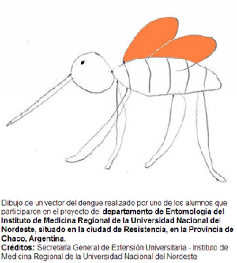 vector del dengue