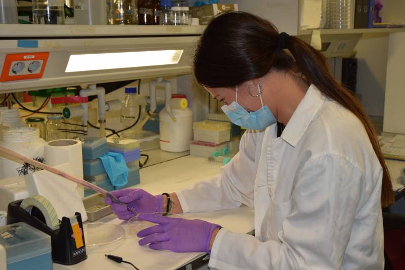 Neus Daviu en su laboratorio del Centro Nacional de Biotecnología del CSIC