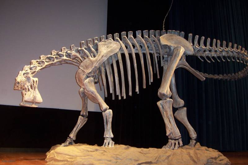 La presencia de este dinosaurio en Burgos demuestra que Europa aún estaba unida con África y América del Sur hace 125 millones de años.
