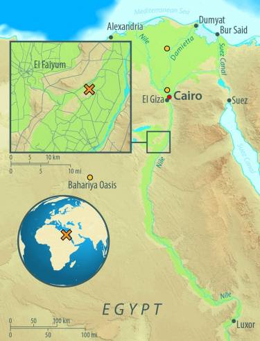 Mapa de Egipto, mostrando el sitio arqueológico de Abusir-el Meleq (marca x) y la ubicación de las modernas muestras egipcias utilizadas en el estudio (círculos naranja) / Annette Guenzel