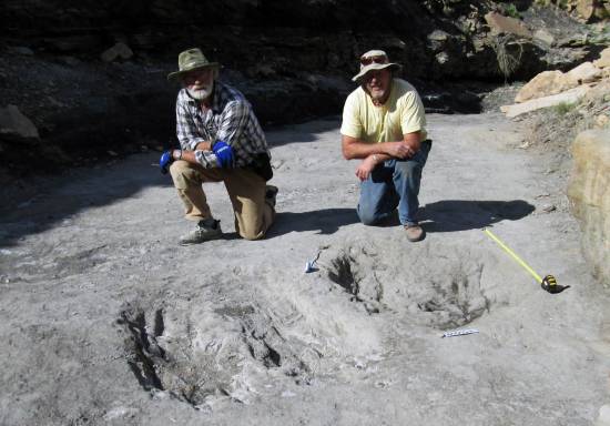 Los investigadores Martin Lockley (derecha) y Ken Cesta posan junto a los grandes rasguños de dinosaurio que descubrieron en el oeste de Colorado / Universidad de Colorado