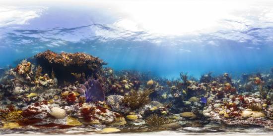 Arrecifes de coral sanos en 2013, Bermuda. /Catlin Seaview Survey