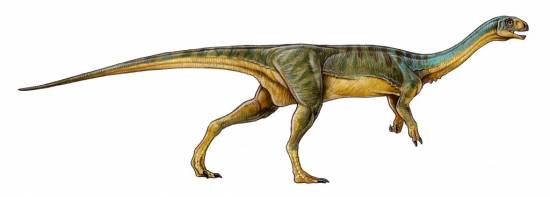 Chilesaurus diegosuarez. /Gabriel Lío