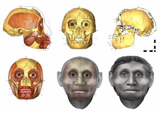 Reconstrucción facial del Hombre de Flores / Susan Hayes (Universidad de Wollongong)