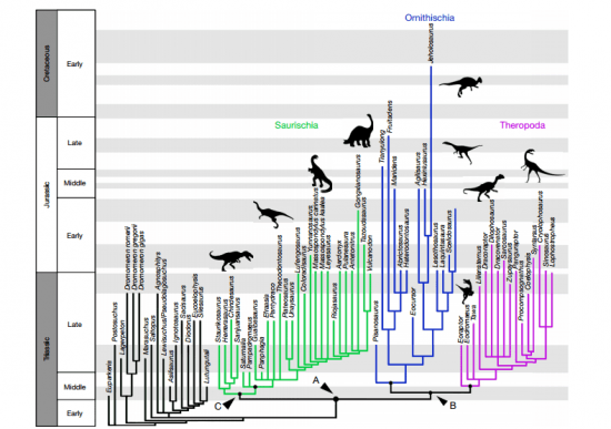 Relaciones filogenéticas de los primeros dinosaurios / Matthew G. Baron et al. (Nature)