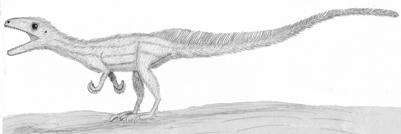 Dibujo del megalosaurio.