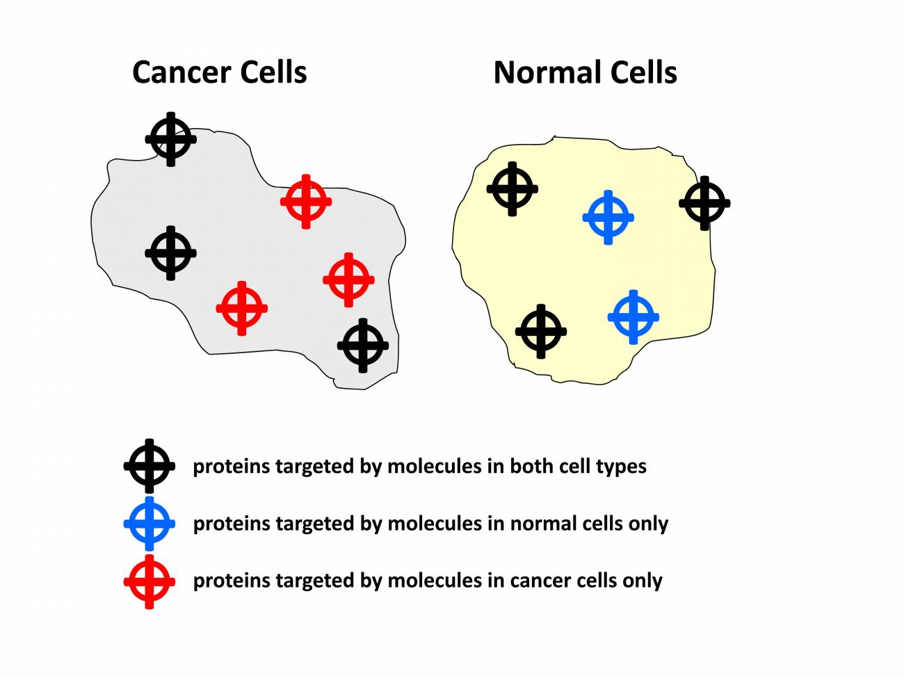 Una célula sana y otra cancerígena