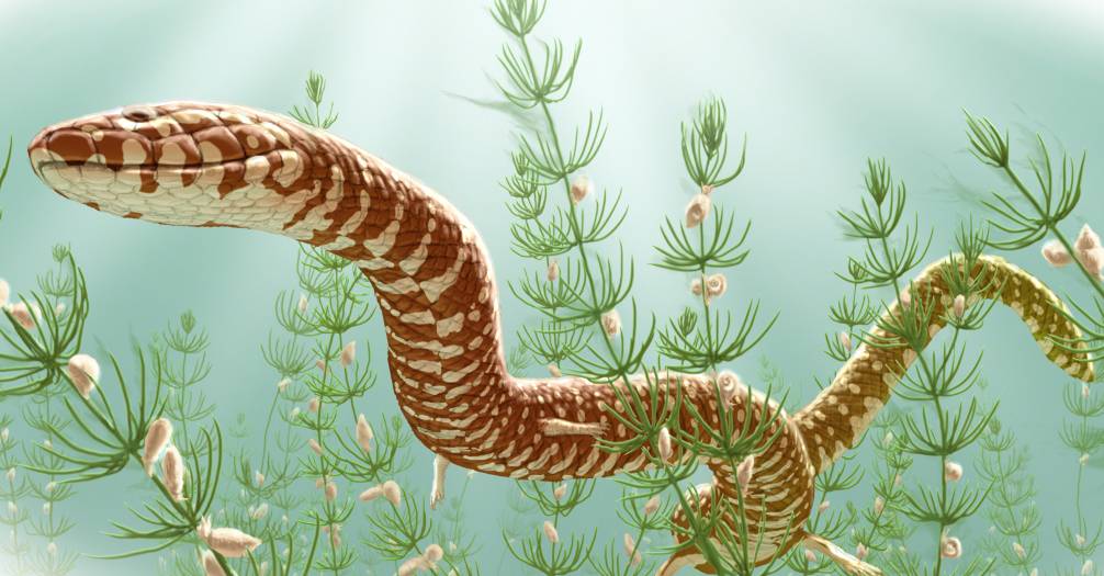 . Los nuevos fósiles retrotraen el primer registro de serpientes unos 70 millones de años 