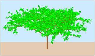 Modelo de árbol obtenido con SIMLIDAR.