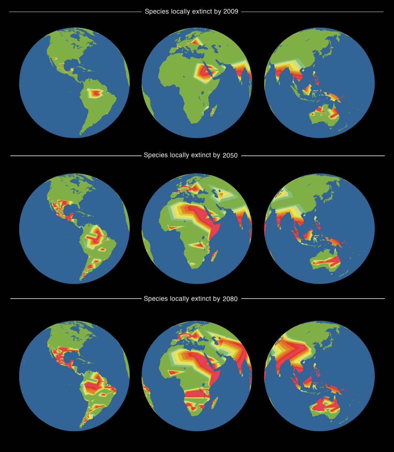 Mapas mundiales de las extinciones detectadas en 2009, junto con proyecciones para 2050 y 2080 basadas en la distribución geográfica de las familias de lagartos en del mundo.