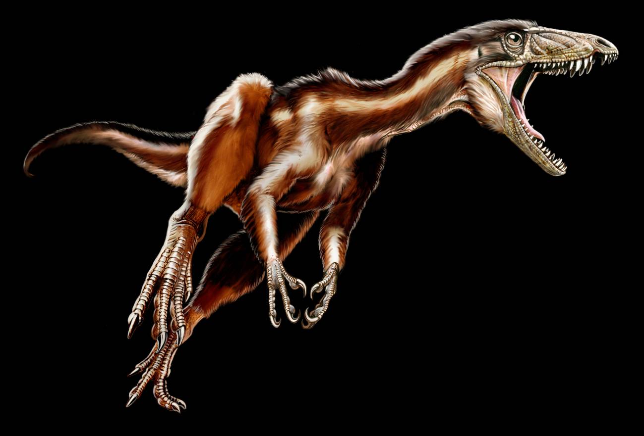 El hallazgo de un nuevo dinosaurio arroja luz sobre su evolución