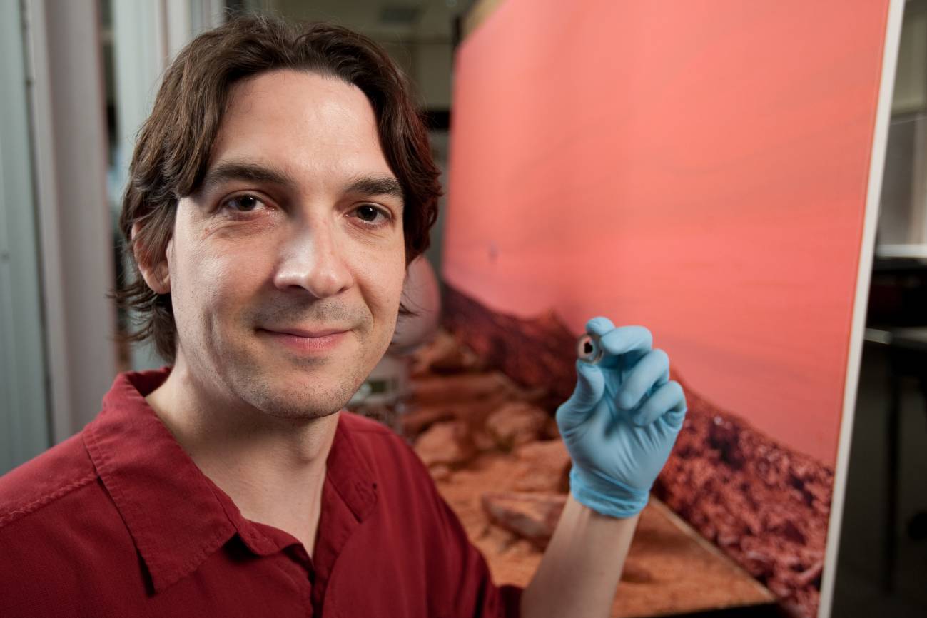 El profesor de geociencia Thomas Lapen, sosteniendo una muestra del meteorito marciano.