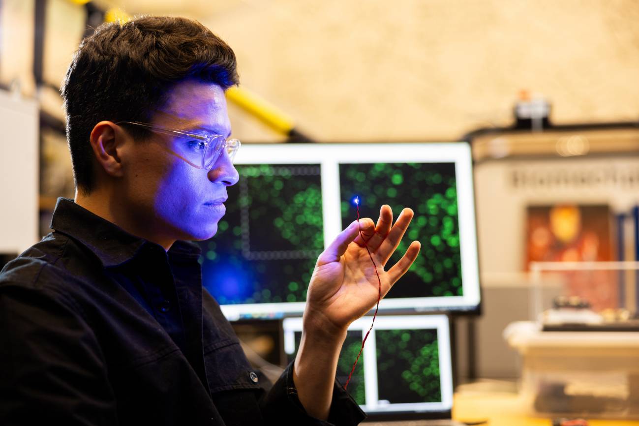 Científicos del MIT logran controlar los músculos de ratones con luz