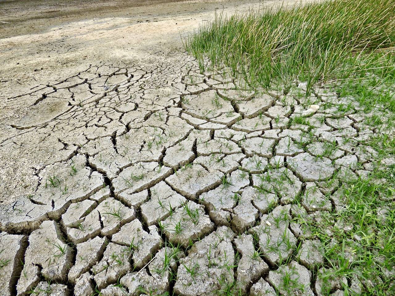 Tierra sequía