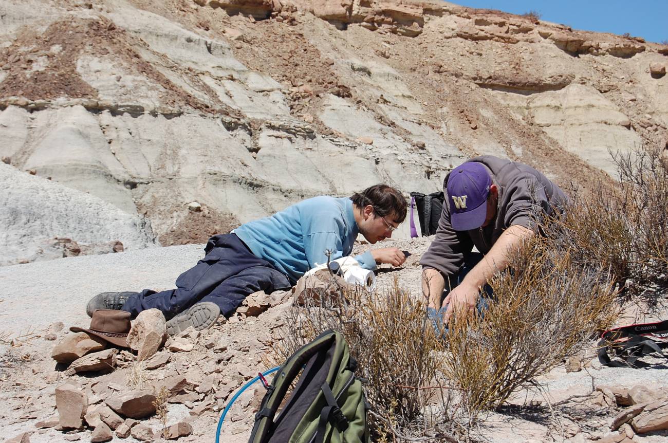 Los paleontólogos Martín Ezcurra y Sterling Nesbitt excavando fósiles de reptiles en rocas triásicas de la Formación Chañares del noroeste de Argentina. / Martín Ezcurra
