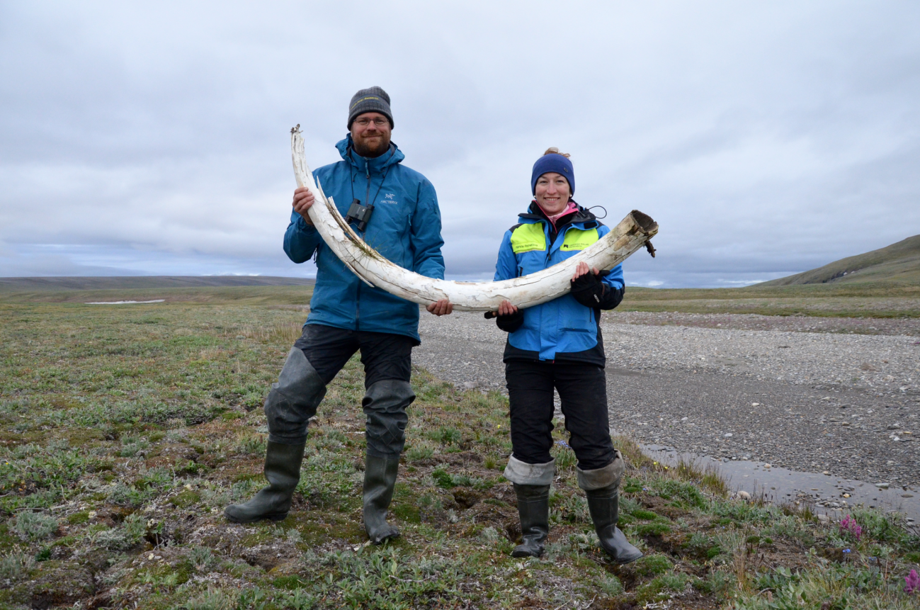 Love Dalén y Patrícia Pečnerová con un colmillo de mamut en la isla de Wrangel. / Gleb Danilov