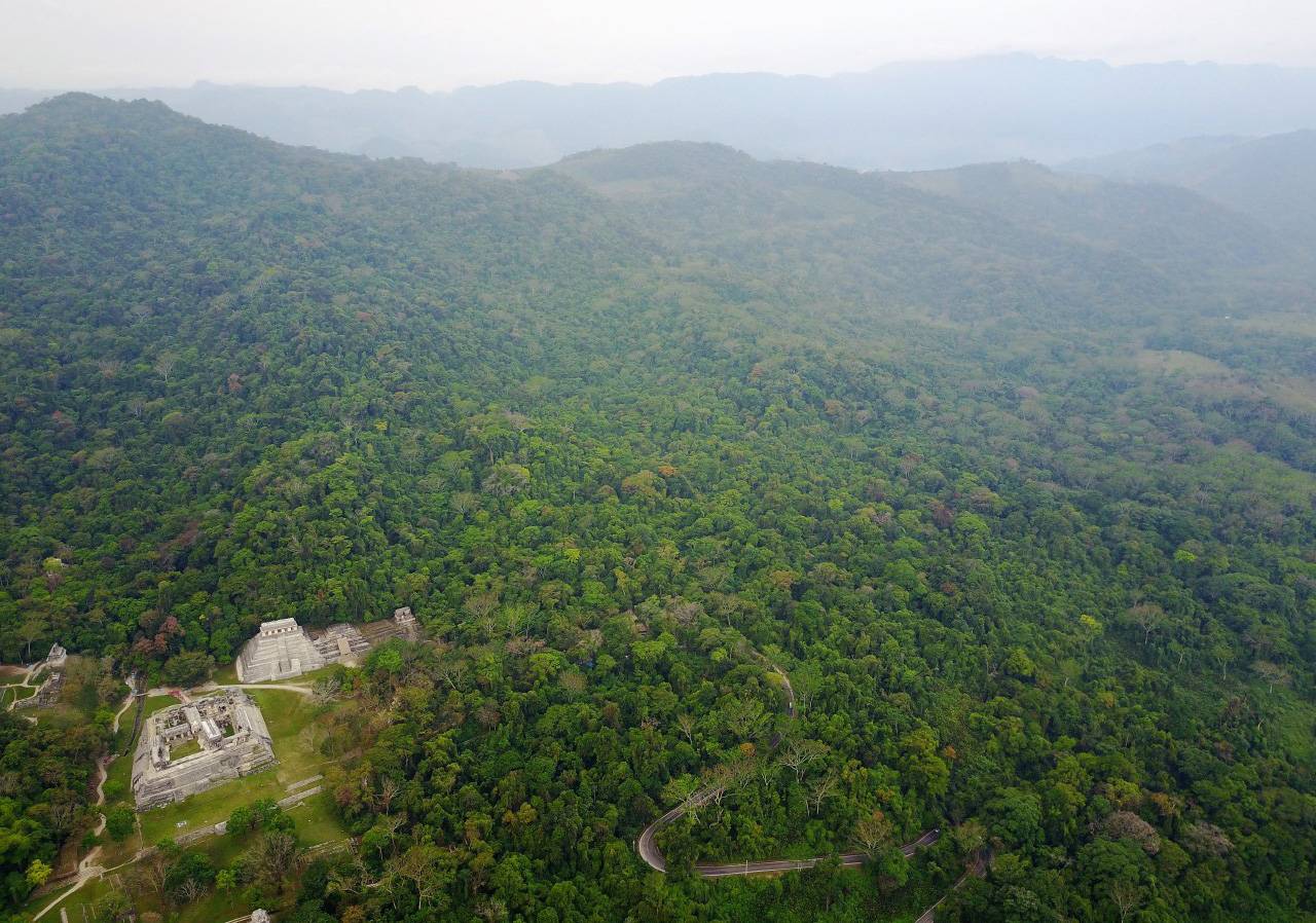 7. dron view of Palenque National Park by Alejandro Estrada - En México monos aulladores negros adaptan sus mapas mentales como los humanos para llegar a sus destinos
