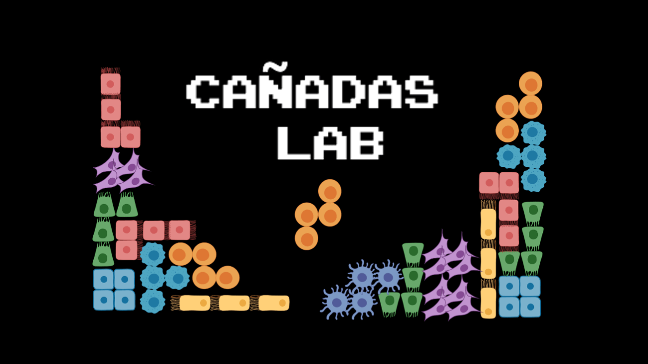 logo del laboratorio