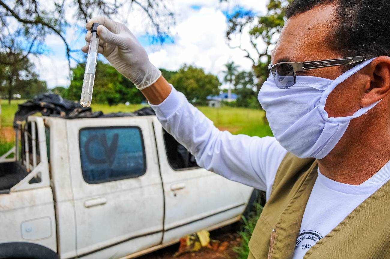 Medidas para combatir el dengue en el Brasil con el objetivo de eliminar los criaderos del mosquito 'Aedes aegypti'. / Paulo H. Carvalho/Agência Brasília
