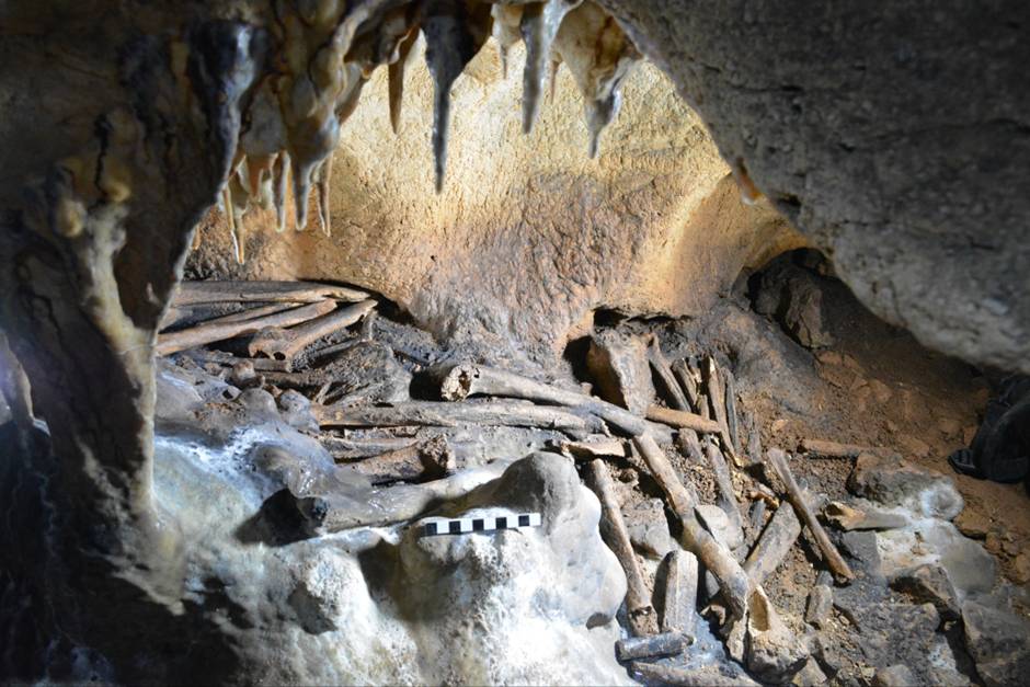 Huesos humanos procedentes de Cueva de Ardales