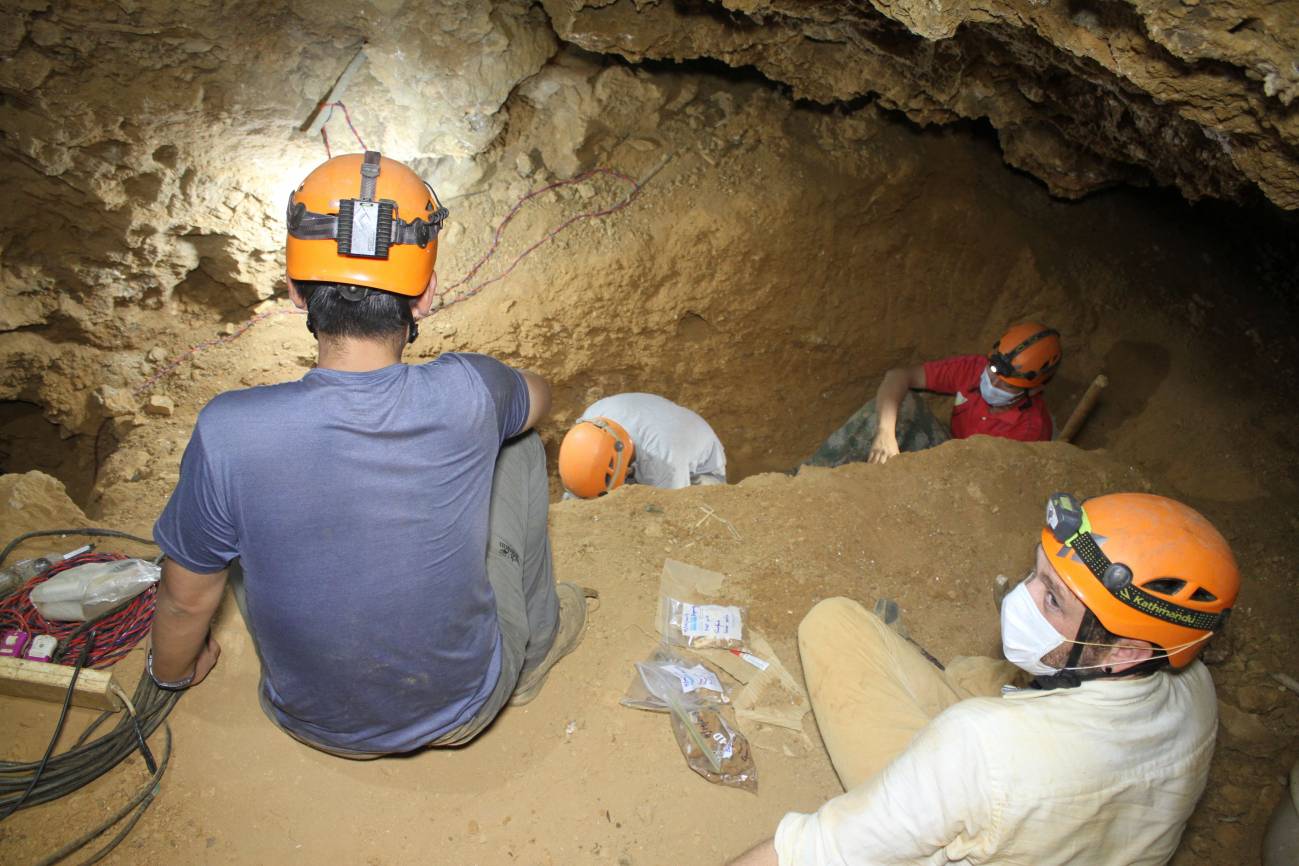 Excavando en los sedimentos de la cueva cementada que contienen una gran cantidad de fósiles y evidencia de G. blacki. / Kira Westaway (Universidad de Macquarie)