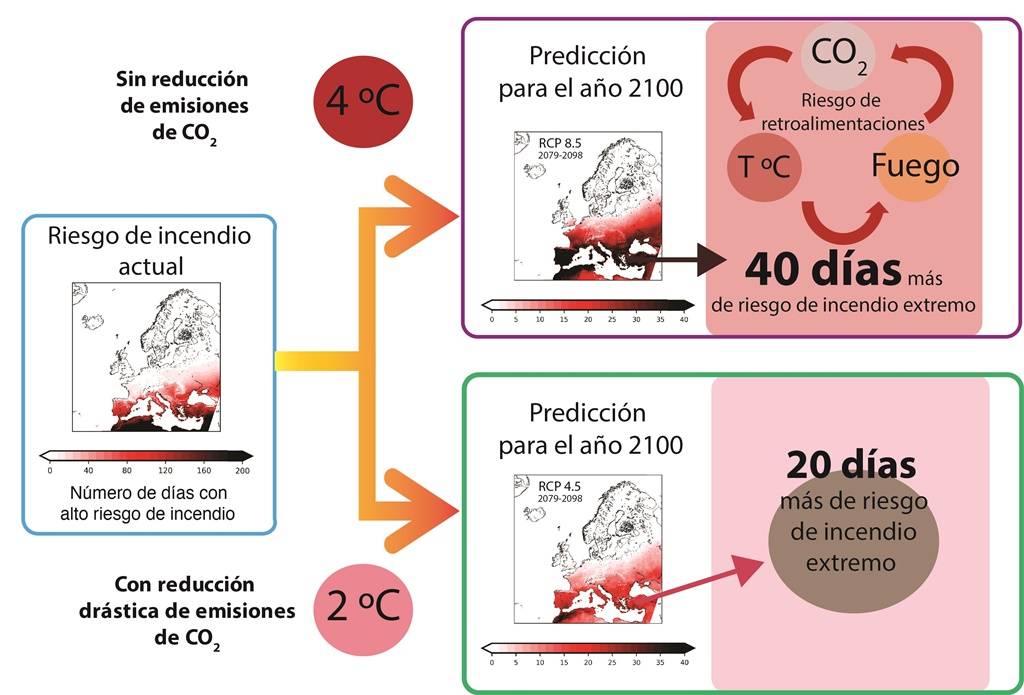 Cambio previsto en los riesgos de incendio para las próximas décadas, hasta 2100, en función de los esfuerzos para reducir las emisiones de dióxido de carbono.. / Universidad de Barcelona