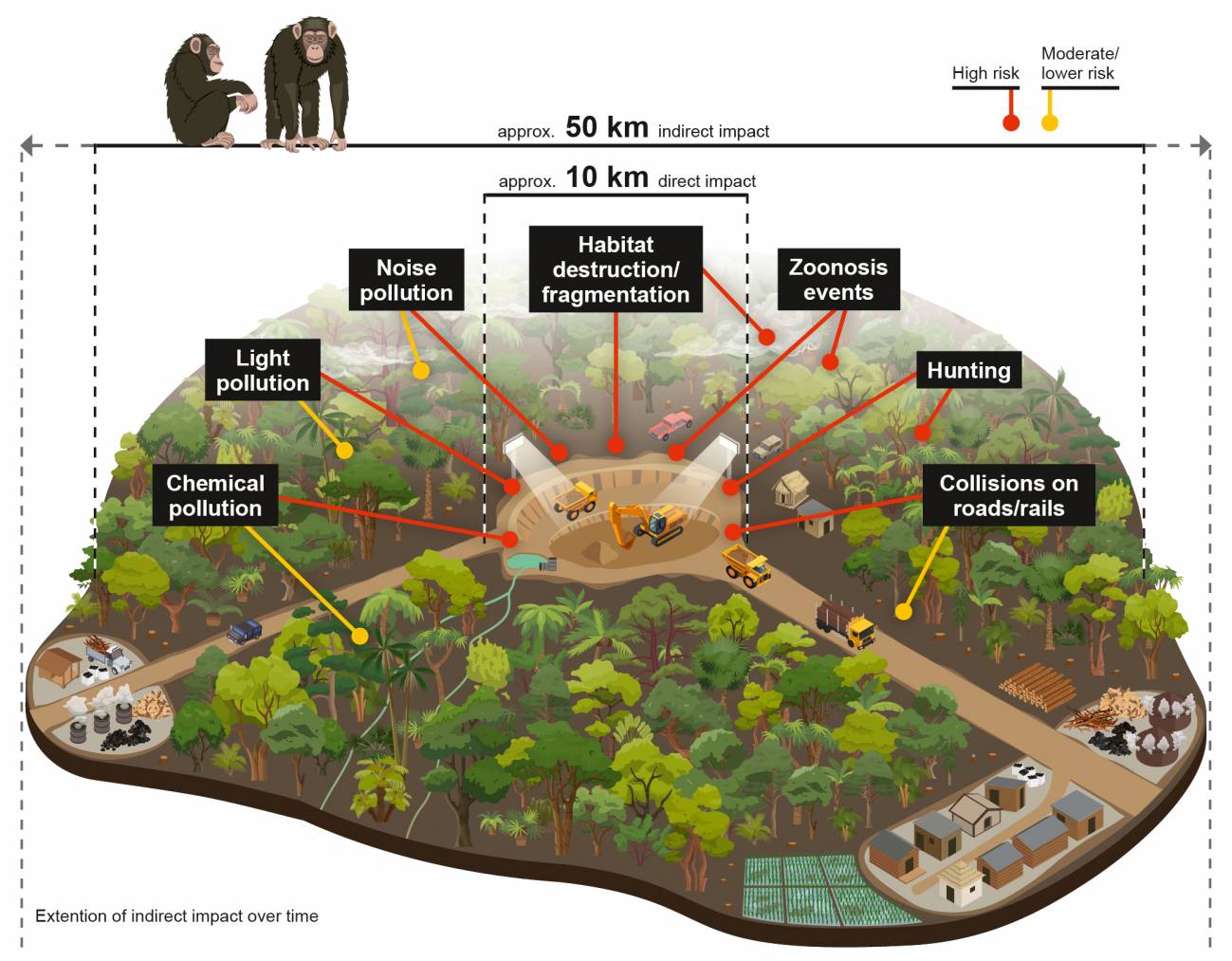 Impactos directos e indirectos de la minería sobre los grandes simios en África. / Gabriele Rada / iDiv