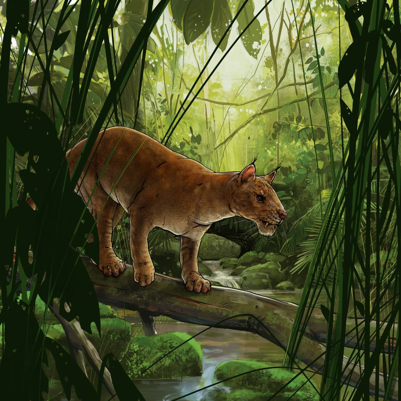 Ilustración que suxire como puido ser o felino atopado. Crédito: San Diego Natural History Museum