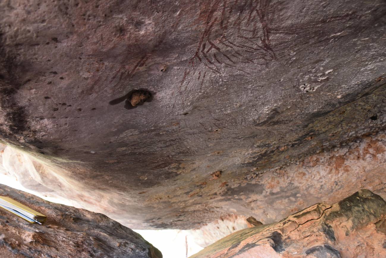 Parte inferior de la pintura del canguro, situada en un techo rocoso inclinado. / Damien Finch