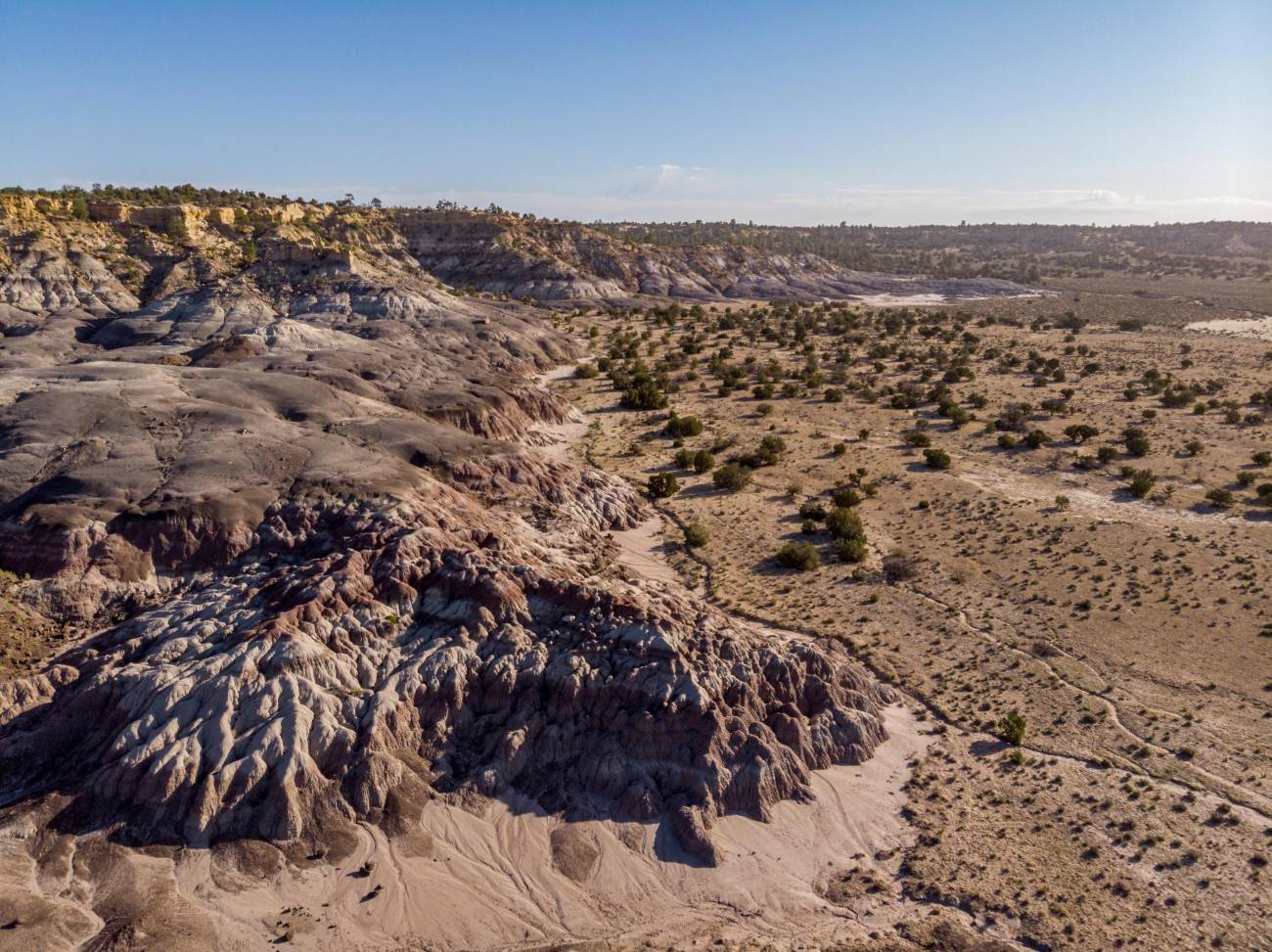 Imagen de dron del yacimiento de fósiles de Badlands. / G Funston