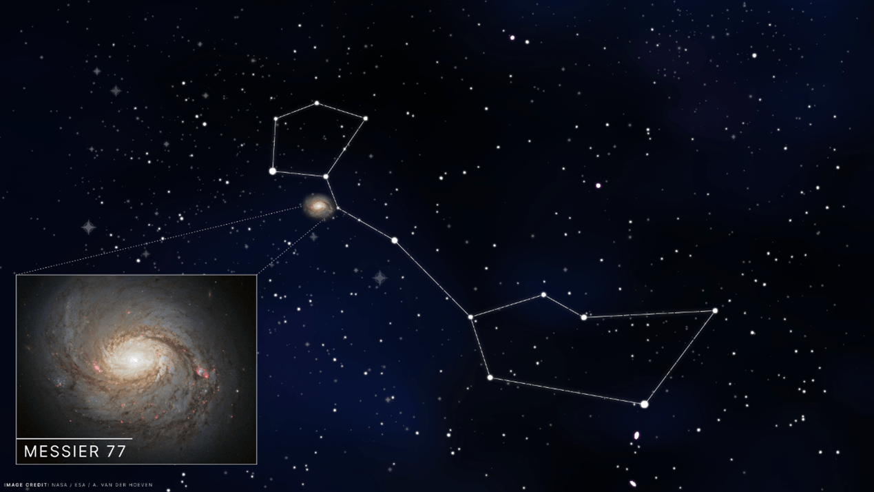 Representación artística de Messier 77 y la constelación de Cetus. / Jack Pairin, IceCube/NSF