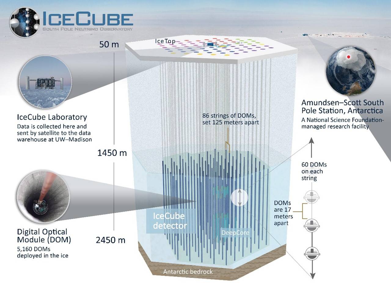 Esquema del observatorio IceCube. / IceCube/NSF