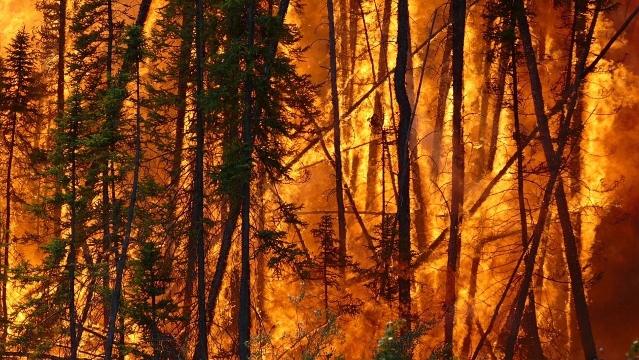 Incendio en un bosque boreal de Canadá
