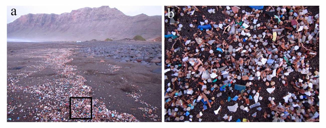 Playa de Famara, Lanzarote, donde se aprecian microplásticos y pellets. / Alicia Herrera
